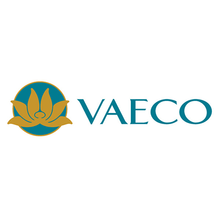 vaeco-vn-airlines